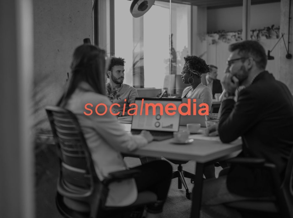 Rudbeckia/ Development