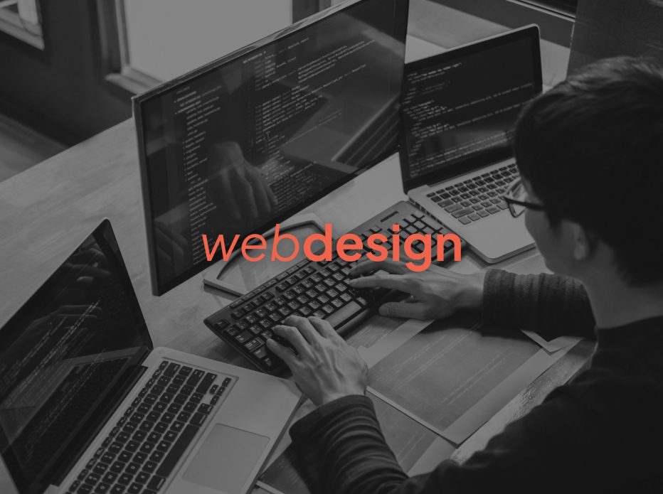 service-webdesign Rudbeckia/ Development