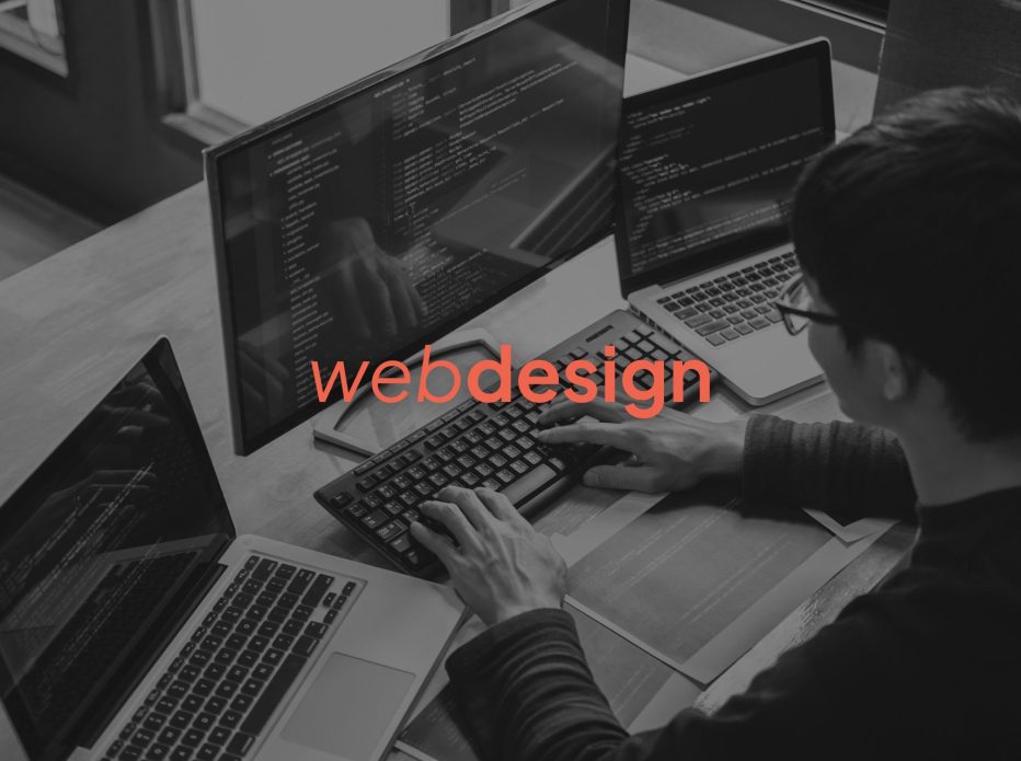 Rudbeckia/ Development